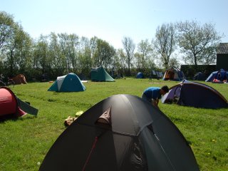 Buitenaanzicht Boerencamping Springfield Buitenaanzicht Boerencamping Springfield